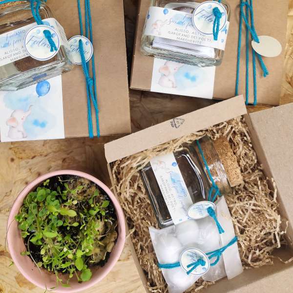 bomboniere semi da piantare battesimo bimbo ecofattoart